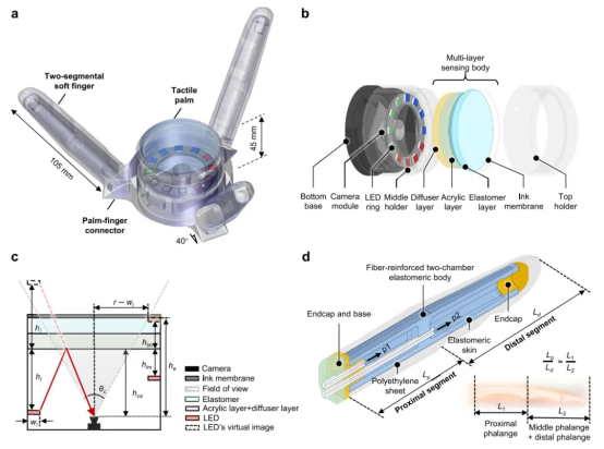 上交大Nature子刊重磅：视触觉掌指协调的软体机器人手！(图3)